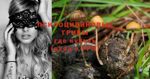 синтетический гашиш Бугульма