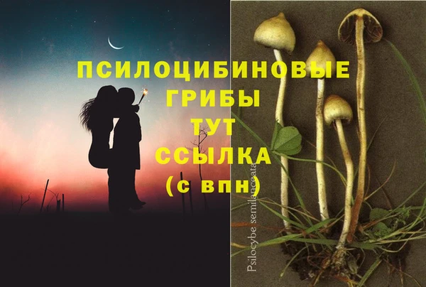 синтетический гашиш Бугульма